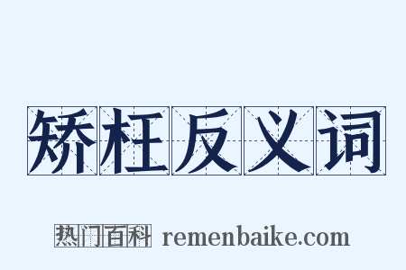 矫枉反义词是什么意思的图片